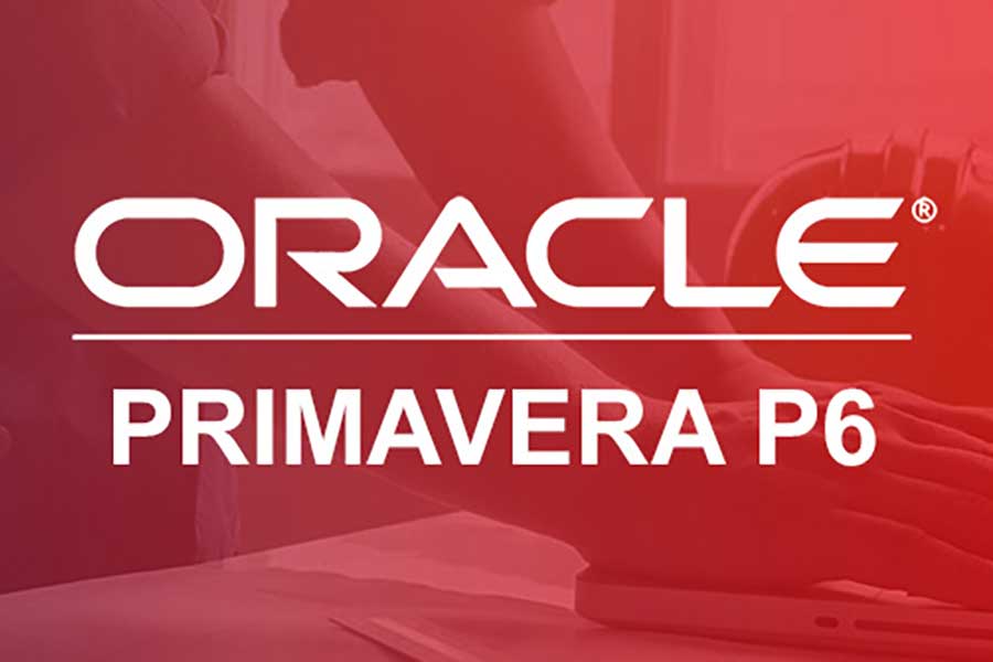 Curso de Oracle Primavera P6